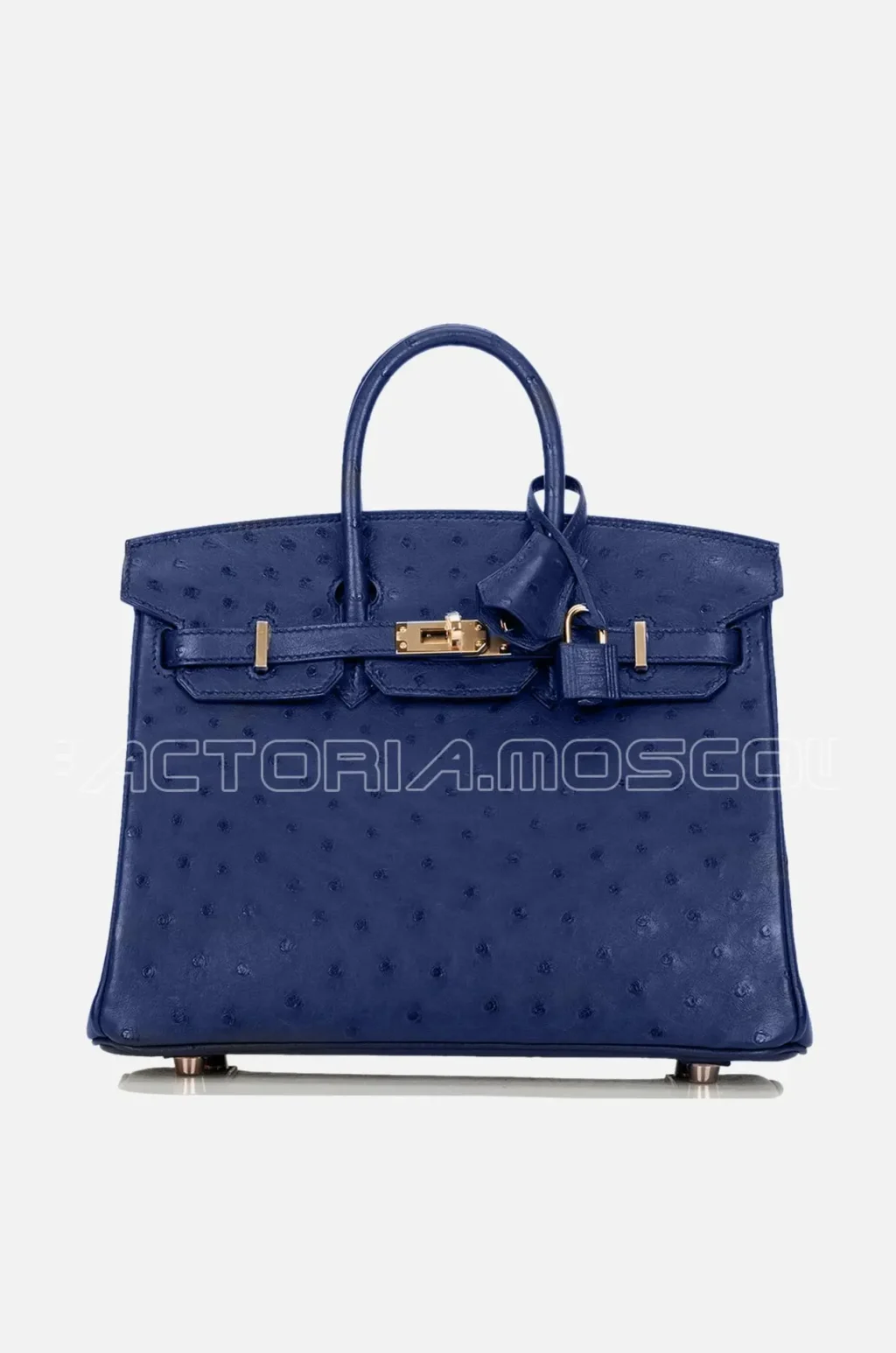 Birkin 25