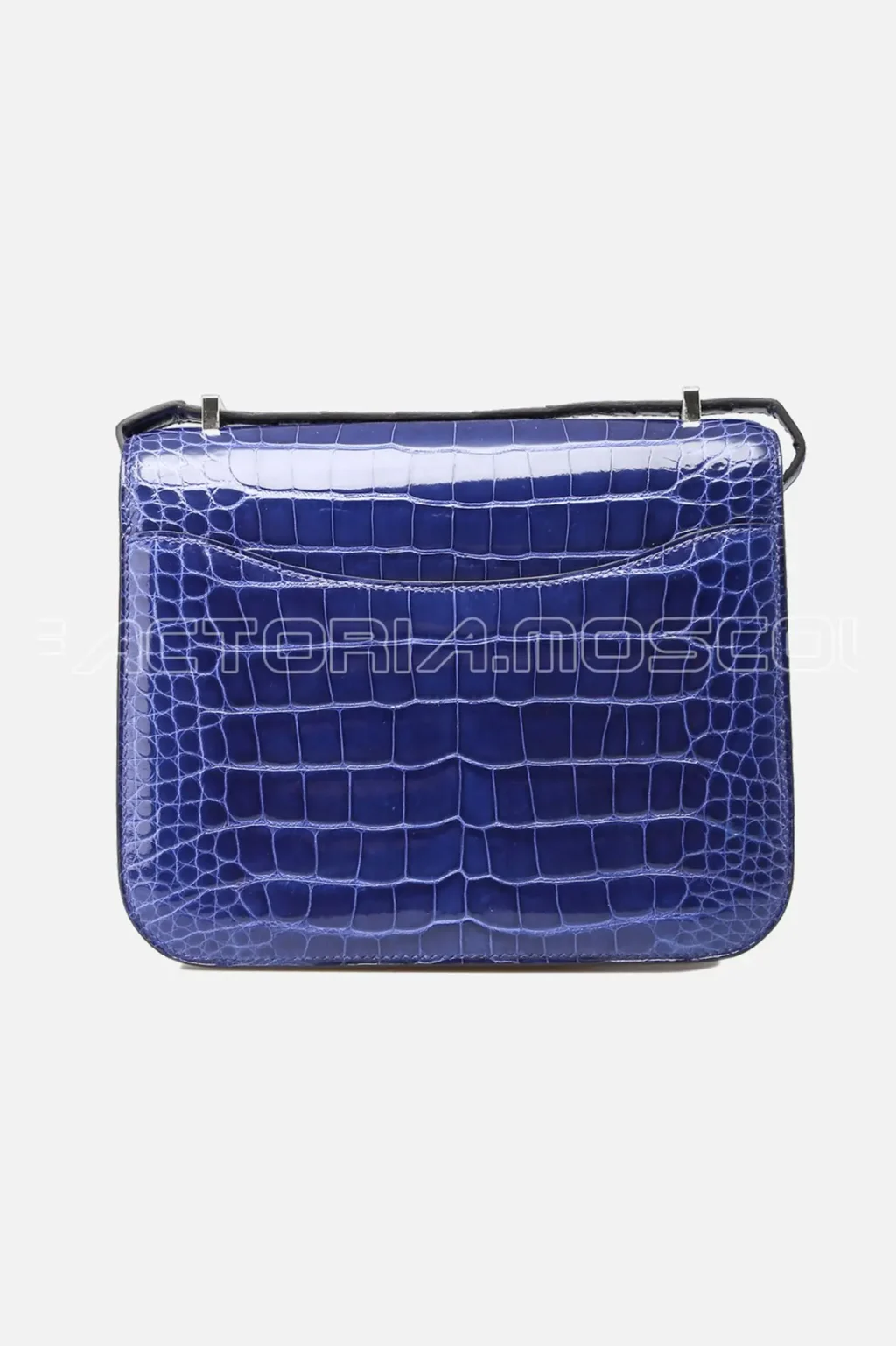 Alligator lisse